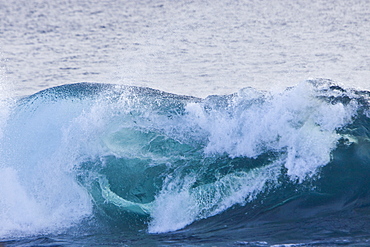 Fun and interesting scenery in the Galapagos Island Archipeligo, Ecuador. Pacific Ocean.