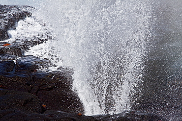 Blow hole spouting on Espanola Island Archipeligo, Ecuador. Pacific Ocean.