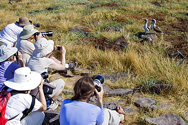 Lindblad Expeditions Guests doing fun and exciting things in the Galapagos Island Archipeligo, Ecuador. No model releases.