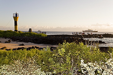 The Lindblad Expedition ship National Geographic Endeavour and its Zodiac fleet operating in the Galapagos Islands, Ecuador, Pacific Ocean.