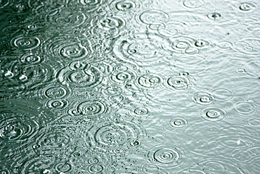 Rain drops on the sea in Southeast Alaska, USA. Pacific Ocean.