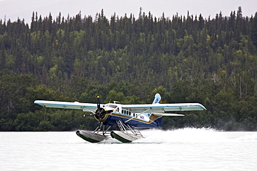 Small float planes being used to shuttle bear watchers between the town of King Salmon and a bear watching lodge at Brooks Camp in Katmai National Park, Alaska, USA. Pacific Ocean.