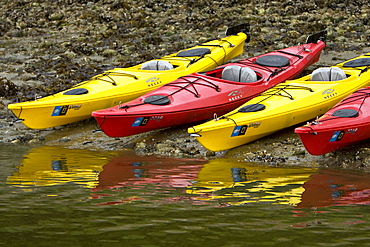 Kayaking from the Lindblad Expedition ship National Geographic Sea Lion in the fog in Tracy Arm in Southeast Alaska, USA. Pacific Ocean. No model or property release available for this photograph.