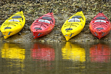 Kayaking from the Lindblad Expedition ship National Geographic Sea Lion in the fog in Tracy Arm in Southeast Alaska, USA. Pacific Ocean. No model or property release available for this photograph.