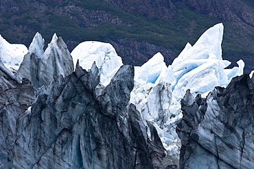 Lamplugh Glacier in Glacier Bay National Park, southeast Alaska, USA