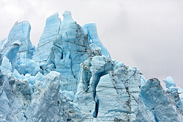 Lamplugh Glacier in Glacier Bay National Park, southeast Alaska, USA