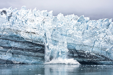 Lamplugh Glacier in Glacier Bay National Park, southeast Alaska, USA