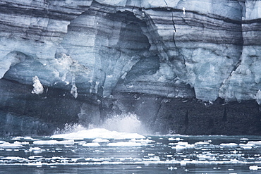 Lamplugh Glacier in Glacier Bay National Park, southeast Alaska, USA