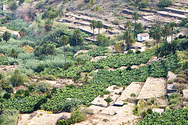 Views from La Gomera, Canary Islands, Spain