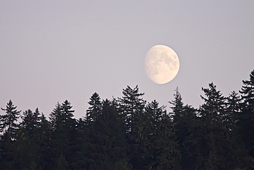 Moonrise over the ocean just outside Petersburg in Southeast Alaska, USA.