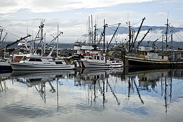 Fishing fleet at harbor in Alert Bay, British Columbia, Canada. No model or property releases for this image.