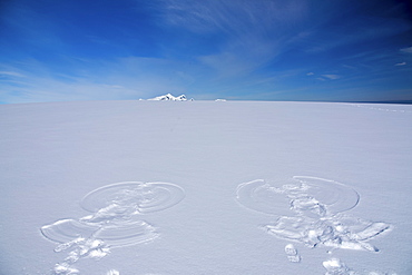 Guests from the Lindblad Expedition ship National Geographic Endeavour, Antarctica