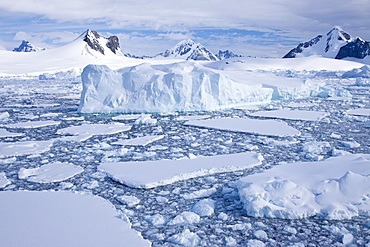 The Lindblad Expeditions ship National Geographic Explorer pushes through ice in Crystal Sound, south of the Antarctic Circle, Antarctica, Southern Ocean