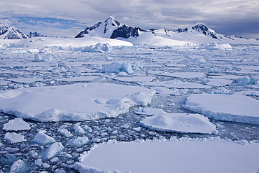 The Lindblad Expeditions ship National Geographic Explorer pushes through ice in Crystal Sound, south of the Antarctic Circle, Antarctica, Southern Ocean