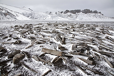 Snow covering the old barrel staves at Whalers Bay inside of the caldera at Deception Island, South Shetland Islands, Antarctica, Southern Ocean