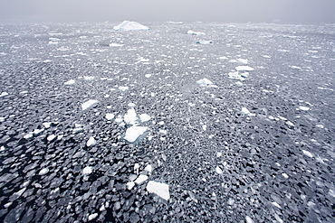 Blizzard conditions cause the ocean's surface to begin to freeze in Dahlmann Bay, Antarctica, Southern Ocean. MORE INFO First signs of grease ice as the surface of the sea begins to freeze.