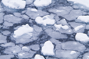 Blizzard conditions cause the ocean's surface to begin to freeze in Dahlmann Bay, Antarctica, Southern Ocean. MORE INFO First signs of grease ice as the surface of the sea begins to freeze.