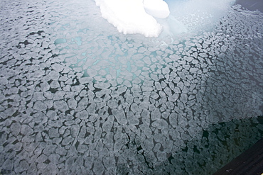 Blizzard conditions cause the ocean's surface to begin to freeze in Dahlmann Bay, Antarctica, Southern Ocean. MORE INFO First signs of grease ice as the surface of the sea begins to freeze.