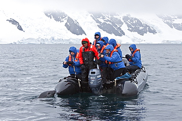 Curious adult leopard seal (Hydrurga leptonyx) approaches Zodiac near Booth Island, Antarctica, Southern Ocean