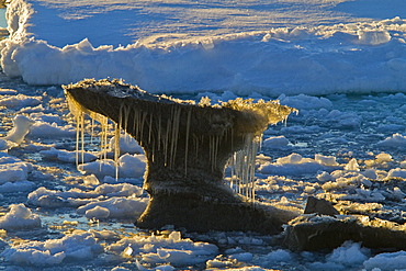 Iceberg detail in and around the Antarctic Peninsula during the summer months, Southern Ocean