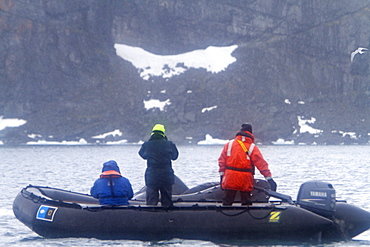 Humpback whale (Megaptera novaeangliae) surfacing near Zodiac near the Antarctic Peninsula, Antarctica, Southern Ocean