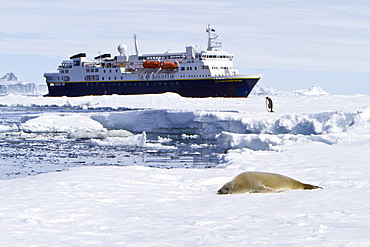 The Lindblad Expedition Ship National Geographic Explorer operating in Antarctica in the summer months.