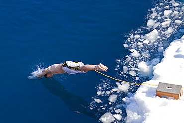 Guests from the Lindblad Expedition ship National Geographic Explorer take the Polar Plunge off ice floe in the Weddell Sea, Antarctica, Southern Ocean