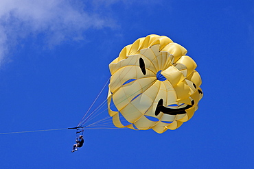 Commercial parasailing operations off the west side of the island of Maui, Hawaii, USA. MORE INFO Parasailing in Hawaii is limited seasonally to times of the year when humpback whales are not present.