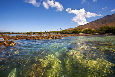 Half undewater and half above water view of Olowalu Reef on the west side of the island of Maui, Hawaii, USA. 