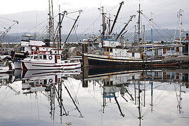 Fishing fleet at harbor in Alert Bay, British Columbia, Canada. 