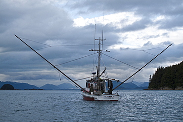 Commercial fishing boat "Alberta J" underway just outside Elfin Cove, Southeast Alaska, USA, Pacific Ocean. 