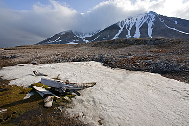 A view of the abandoned bowhead whaling station with bones strewn about in Hornsund (Horn Sound) on the southwestern side of Spitsbergen Island in the Svalbard Archipelago, Barents Sea, Norway.