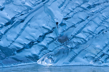 Glacial iceberg detail from ice calved off the Sawyer Glacier in Tracy Arm, Southeast Alaska, USA, Pacific Ocean