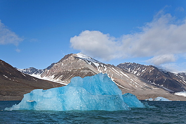 Calved icebergs from the glaciers at BlomstrandhalvÃ®ya in Kongsfjord on the western side of Spitsbergen in the Svalbard Archipelago, Norway.