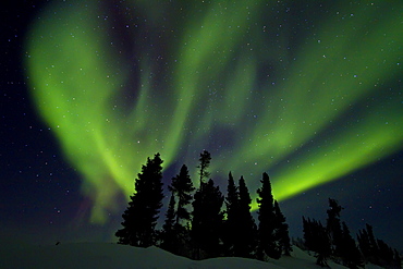 Aurora Borealis (Northern (Polar) Lights) over the boreal forest outside Yellowknife, Northwest Territories, Canada