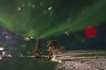 Aurora Borealis (Northern (Polar) Lights) over the boreal forest outside Yellowknife, Northwest Territories, Canada