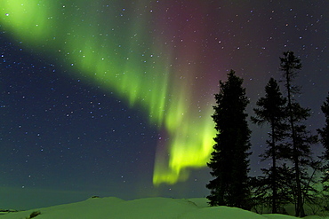 Aurora Borealis (Northern (Polar) Lights) over the boreal forest outside Yellowknife, Northwest Territories, Canada