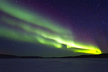 Aurora Borealis (Northern (Polar) Lights) over the boreal forest outside Yellowknife, Northwest Territories, Canada