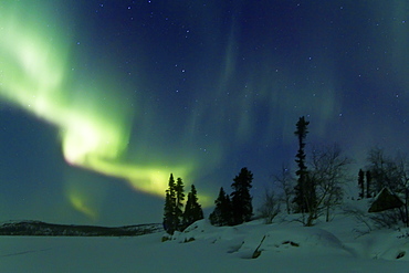 Aurora Borealis (Northern (Polar) Lights) over the boreal forest outside Yellowknife, Northwest Territories, Canada