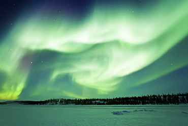 Aurora Borealis (Northern (Polar) Lights) over the boreal forest outside Yellowknife, Northwest Territories, Canada