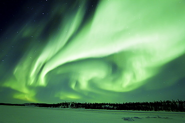 Aurora Borealis (Northern (Polar) Lights) over the boreal forest outside Yellowknife, Northwest Territories, Canada