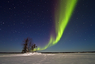 Aurora Borealis (Northern (Polar) Lights) over the boreal forest outside Yellowknife, Northwest Territories, Canada