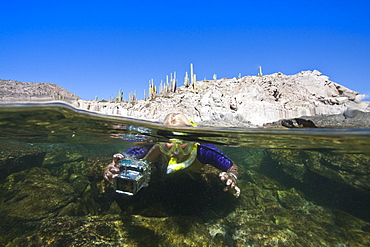 Where the desert meets the sea; a snorkeler at Isla Santa Catalina in the Gulf of California (Sea of Cortez), Baja California Sur, Mexico