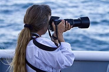 Staff member Linda Burback from the Lindblad Expedition ship National Geographic Sea Bird taking a photograph in the middle Gulf of California (Sea of Cortes), Baja California Norte, Mexico.