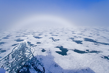 Fog and a fog bow surround the Lindblad Expeditions ship National Geographic Explorer in Palanderbutka, Nordaustlandet, in the Svalbard Archipelago, Norway