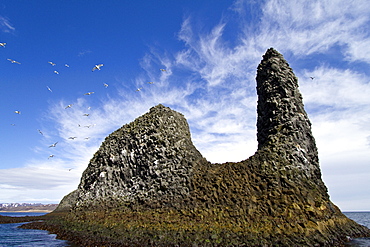 A view of sea cliffs and stacks in the Langanes peninsula in the northeast part of Iceland