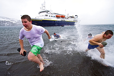 Guests from the Lindblad Expedition ship National Geographic Explorer taking the "polar plunge" inside the caldera at Deception Island in Antarctica