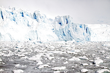 Icebergs and brash ice in Kayak Cove, Brabant Island, near the Antarctic Peninsula during the summer months, Southern Ocean