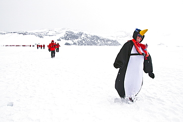 Bartender Jamie dressed as a penguin from the Lindblad Expedition ship National Geographic Explorer enjoy Antarctica