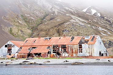 Views of the abandoned whaling station at Stromness Harbor on South Georgia Island, Southern Ocean